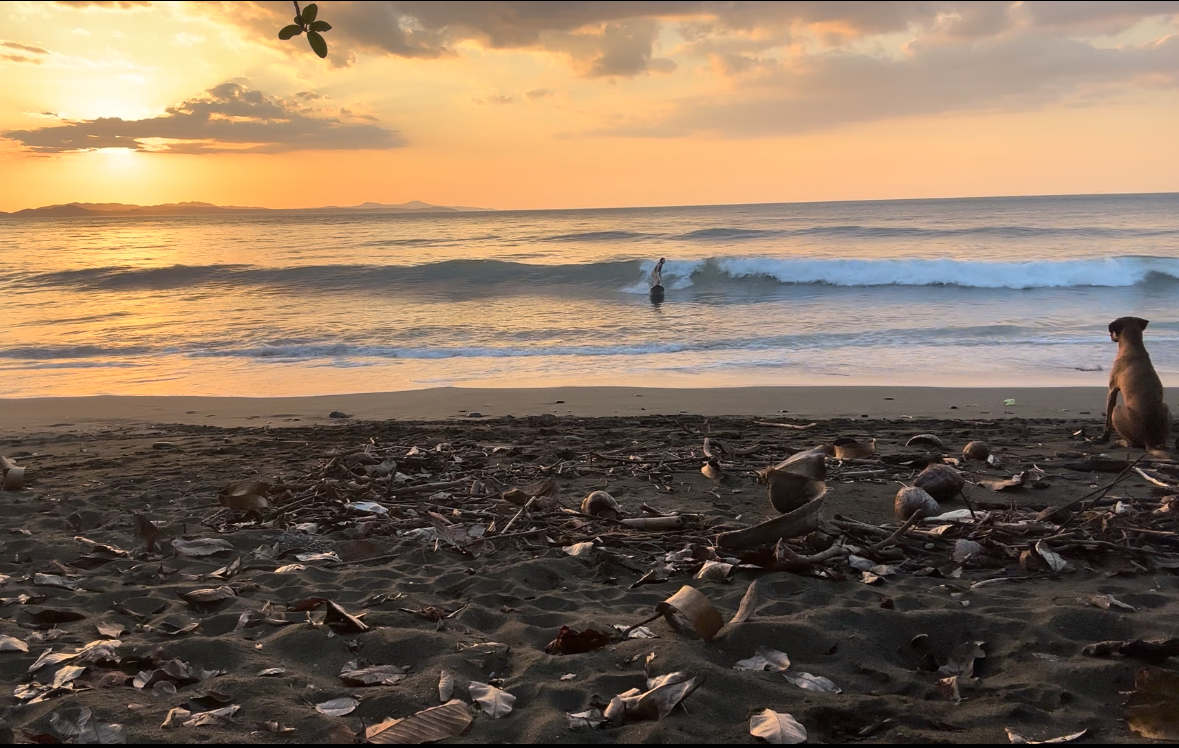 Torio Beach emerges as the perfect playground for beginner surfers. Offering  gentle waves ideal for mastering the art of surfing. With its flawless sunsets and multiple beach waterfall. 